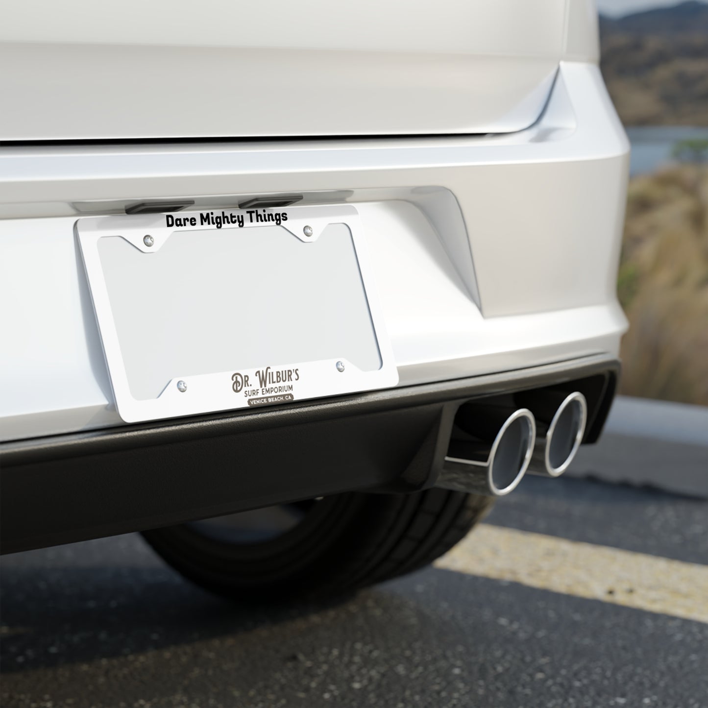 Metal License Plate Frame
